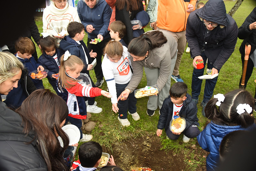 Imagenes